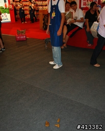 2009年寵物展!!