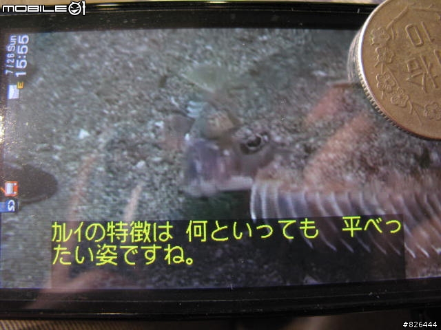 Sony Ericsson S001 有圖文少