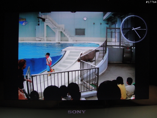 『美好回憶 完美呈現』SONY S-Frame DPF-X1000/B
