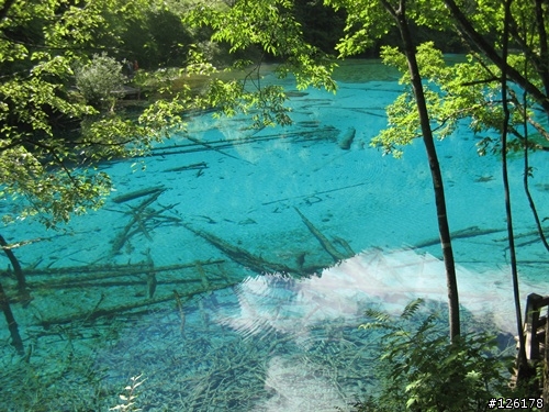 四川九寨溝的導遊