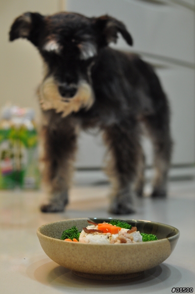 狗料理 -- [ 木耳絞肉拌飯 ]