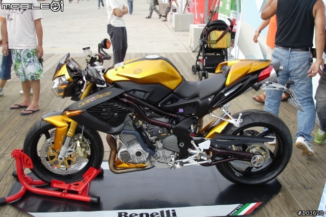 世運會真愛碼頭隨手拍