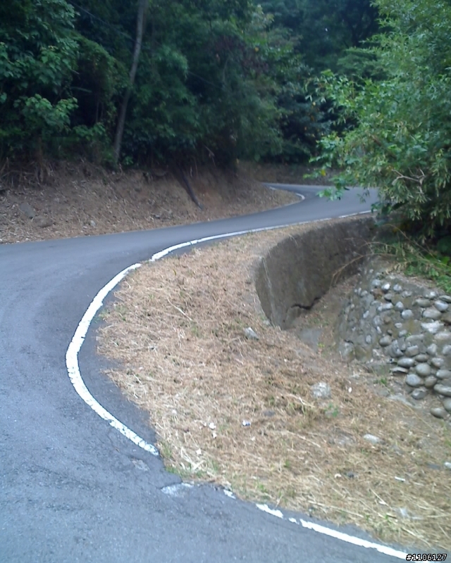 8月2日觀音山路線照片...