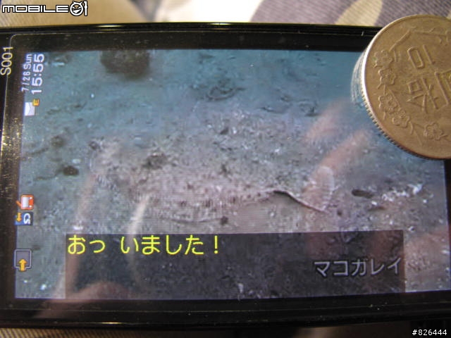 Sony Ericsson S001 有圖文少