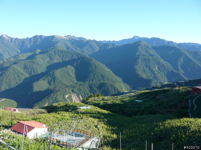 雙橫一豎兩日遊(加碼合歡山主峰)