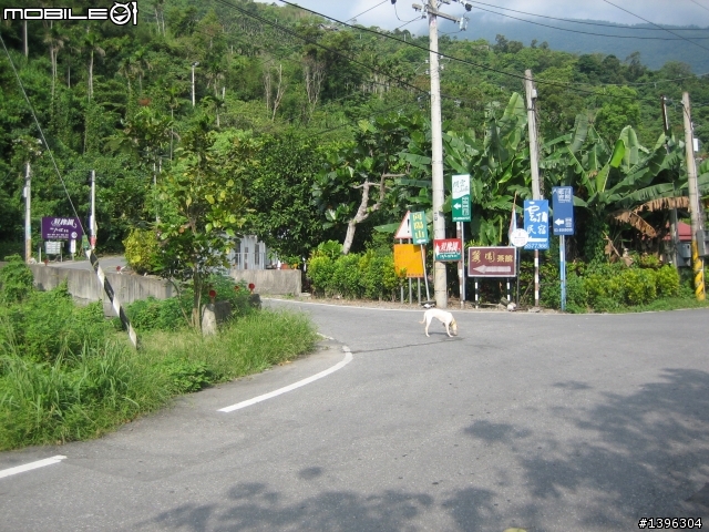 花蓮市近郊向陽山步道挑戰之旅