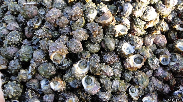 陽光、沙灘、海浪、仙人掌，走！讓我們到菊島去～