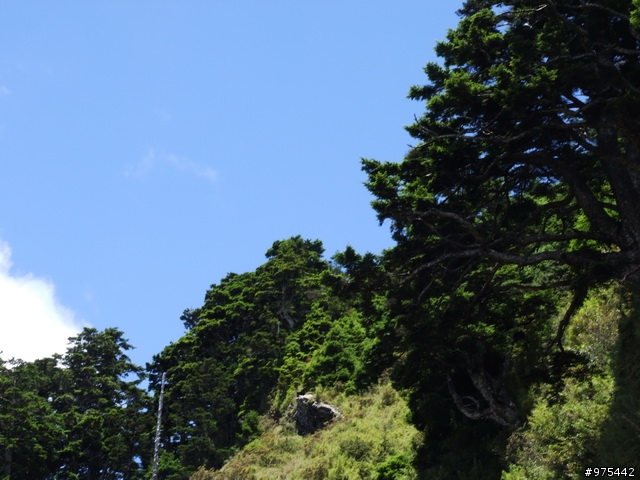 武嶺一日遊相片很多