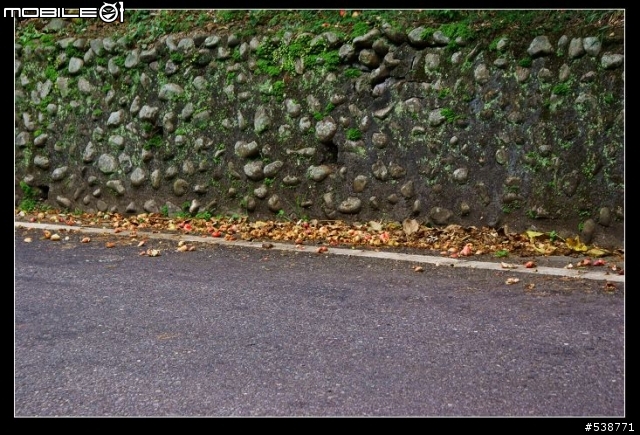 20090711 一日雙北 20090725 再次雙北 ~~圖極多