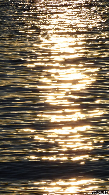 陽光、沙灘、海浪、仙人掌，走！讓我們到菊島去～
