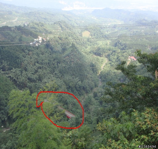 彰化至竹山(上山閱讀與八卦茶園)