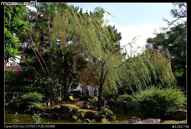 對面N家的大樓蓋的辛苦，那咱們C家也努力一下吧！ -- Tamron 18-270mm VC for canon