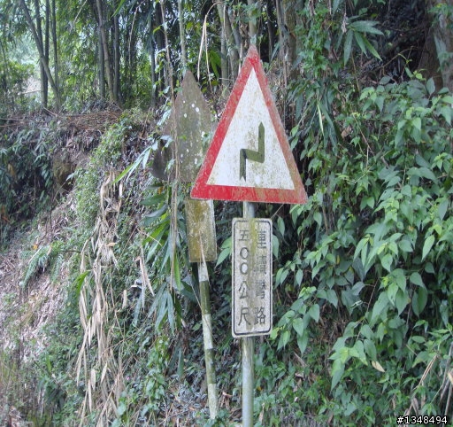 彰化至竹山(上山閱讀與八卦茶園)