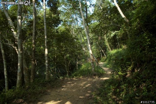 ［分享］霧峰一線天樟樹林步道與北坑溪步道~