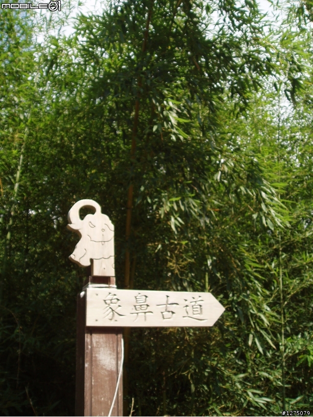 【遊記】20090711雪霸國家公園之雪見遊憩區照片分享