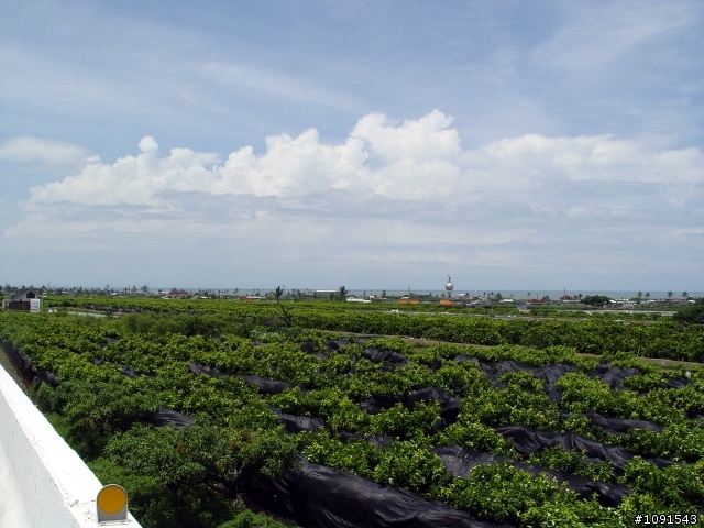 [環島] 50歲的生日禮物-環島完成-第5天-墾丁船帆石完成貼圖文....!