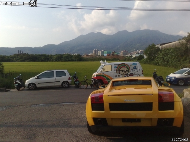 牛爺出巡!!不對....是在路旁睡覺.....((補圖完畢..))