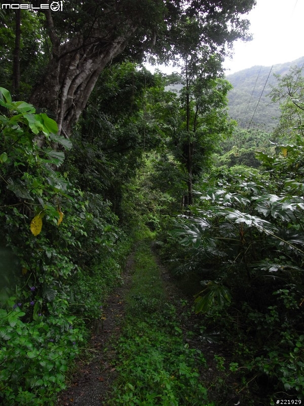 輕度OFFROAD-知本樂山產業道路