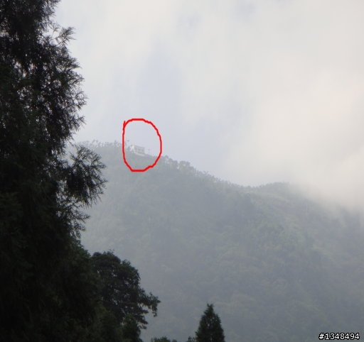 彰化至竹山(上山閱讀與八卦茶園)