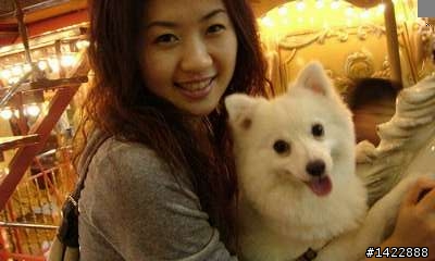 想養瑪爾濟斯成犬約3公斤-請與我聯繫