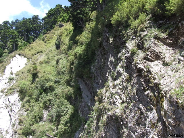 武嶺一日遊相片很多
