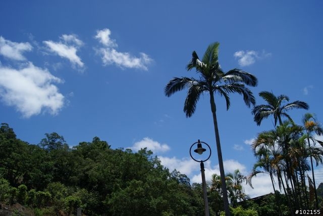 2009/07/11  心動之旅  平溪.黑金與光明