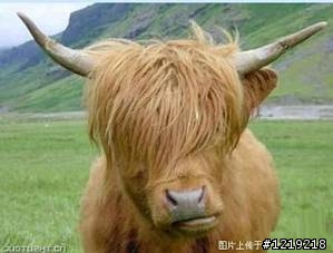 說說看~牠像誰