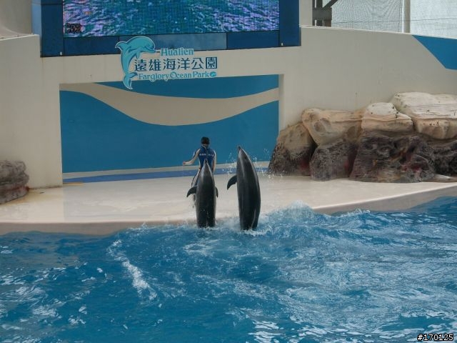 [女王+GSR] 宜蘭花蓮"美食之旅"之旅 (圖多)