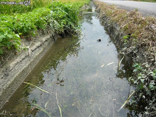 河濱、緣野、恬靜的「大鶯綠野景觀自行車道」89K記實
