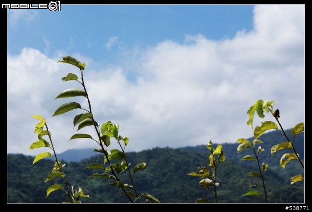 20090711 一日雙北 20090725 再次雙北 ~~圖極多