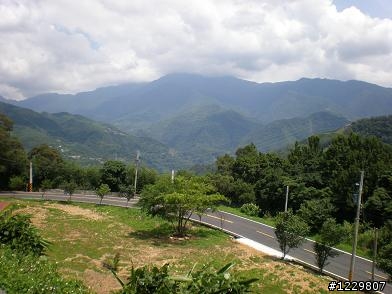 980707單刷東眼山