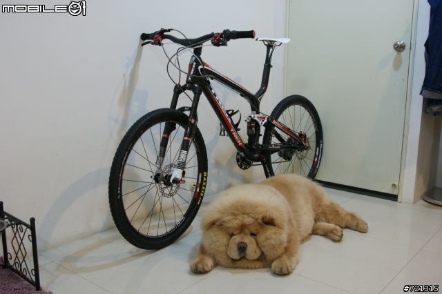 2009年ROTOR 西班牙手工牛皮手編椅墊