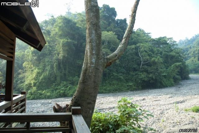 ［分享］霧峰一線天樟樹林步道與北坑溪步道~