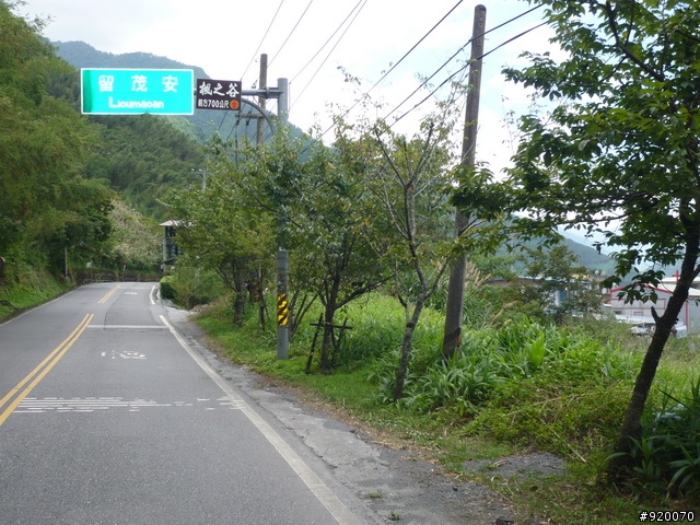 雙橫一豎兩日遊(加碼合歡山主峰)