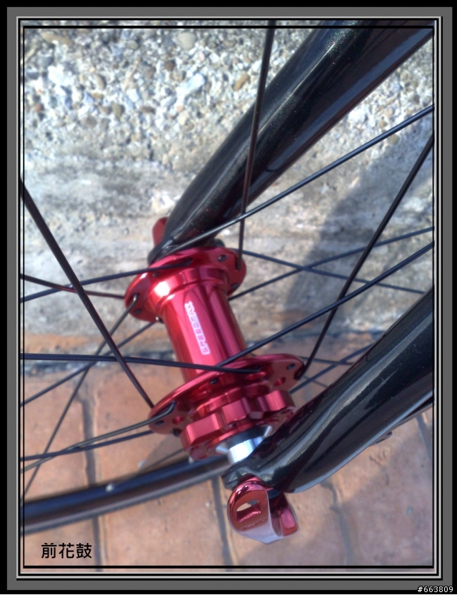 我的 新坐騎 SPINBURN minivelo R1