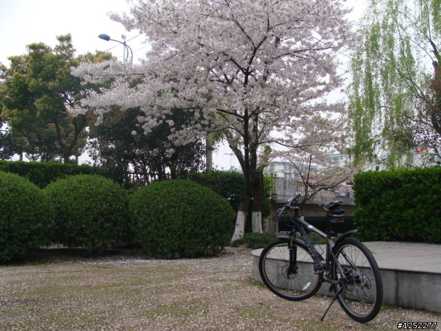 一路南北騎(駐寧波)