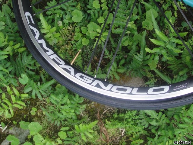 偷騎女兒的車~~bianchi 928紀念車