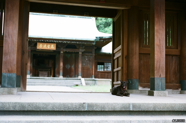 FM2 + Fuji Reala 100 & Proplus 100 分享!!!