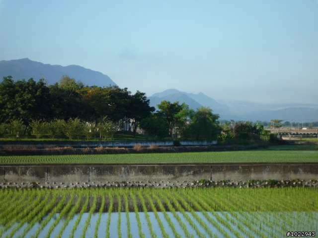 六十石山,池上,高台,我來了...