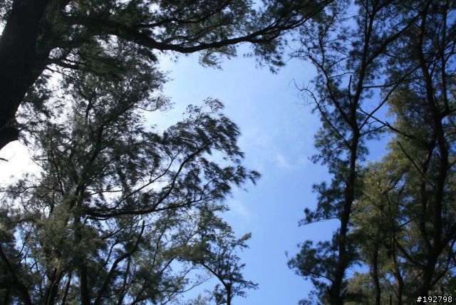 今年的夏天有海灘～竹南濱海遊憩區～