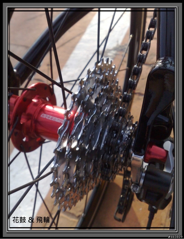 我的 新坐騎 SPINBURN minivelo R1