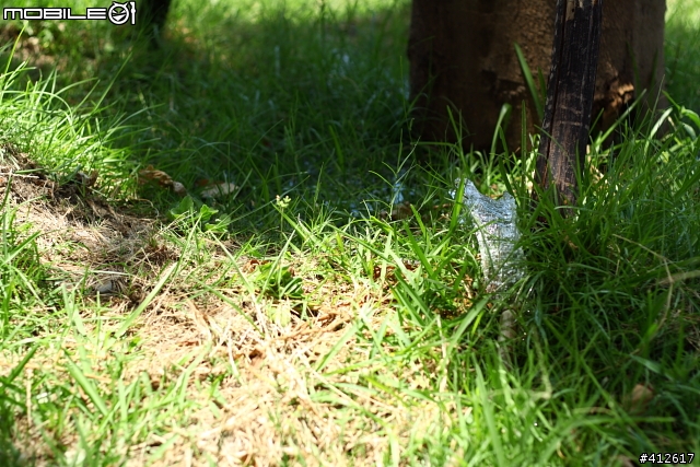 [Canon]客製化Picture Style風格檔 大亂鬥 - "老木fun水"篇