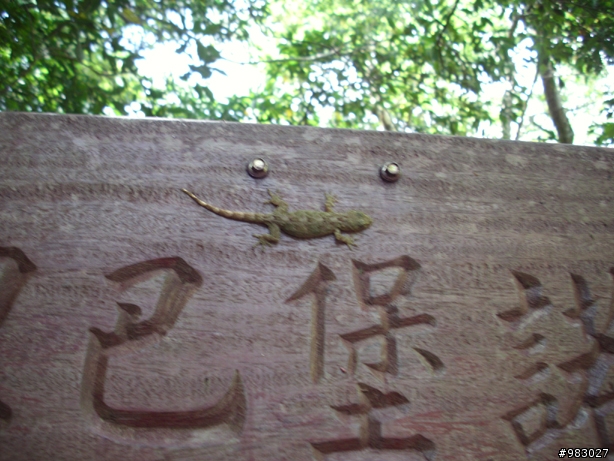 七月二十六日浸水營坍坊...近日要前往的車友要注意..