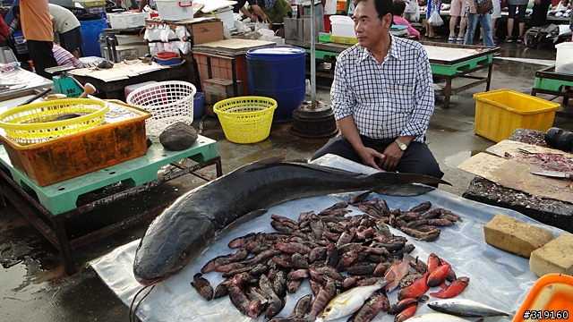 陽光、沙灘、海浪、仙人掌，走！讓我們到菊島去～