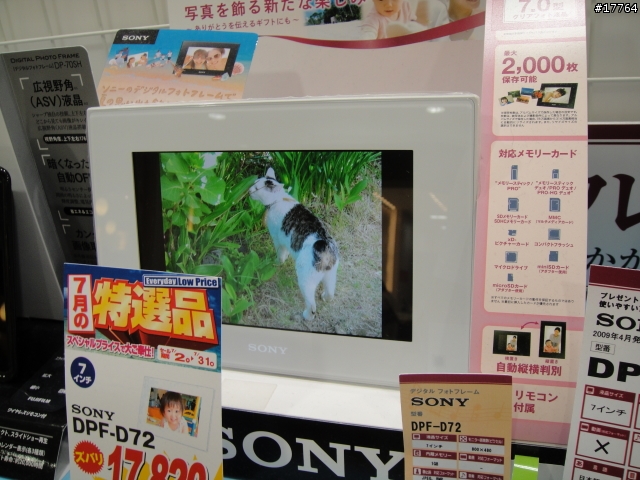 『Kao秋葉原實戰分享』SONY S-Frame 數位相框篇