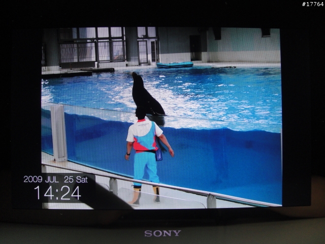 『美好回憶 完美呈現』SONY S-Frame DPF-X1000/B