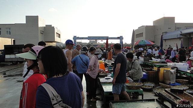 陽光、沙灘、海浪、仙人掌，走！讓我們到菊島去～