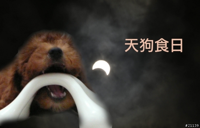 SONY A700拍天狗蝕日好精彩～日偏蝕全記錄
