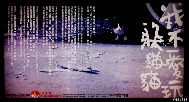 我不愛玩躲貓貓