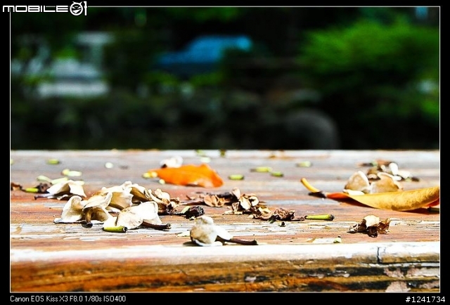 對面N家的大樓蓋的辛苦，那咱們C家也努力一下吧！ -- Tamron 18-270mm VC for canon